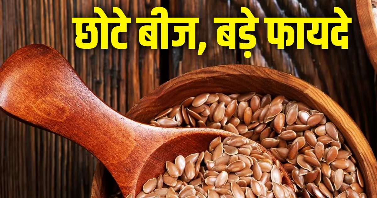 दवा से भी ज्यादा असरदार हैं यह छोटेछोटे बीज, कोलेस्ट्रॉल समेत 5