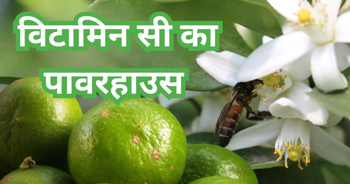 Sour but Sweet: Discover the Evergreen Fruit’s Power to Keep Youth Intact and Ward Off Diseases with these Beauty Tips!