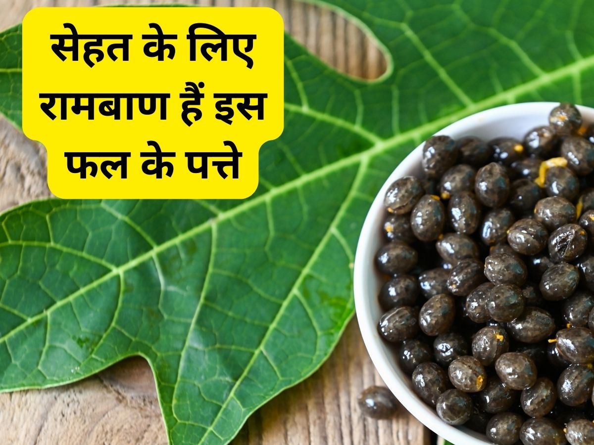 Papaya leaves benefits in hindi hotsell