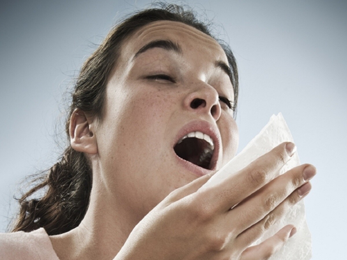 क्या हम छींक रोक सकते हैं, क्या छींक रोकना संभव है, छींक रोकना, स्वास्थ्य, मस्तिष्क, छींक, नाक, प्रतिवर्ती क्रिया, संवेदी तंत्रिका, रीढ़ की हड्डी,