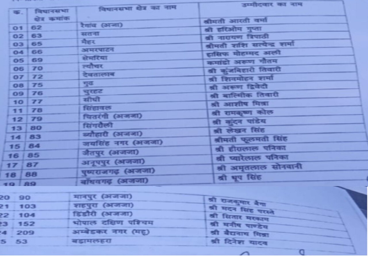 MP Assembly elections, Narayan Tripathi Vindhya Janata Party, Narayan Tripathi will contest from Maihar, Narayan Tripathi announced candidates, Vindhya Janata Party, MP Newsएमपी विधानसभा चुनाव, नारायण त्रिपाठी की पार्टी विंध्य जनता पार्टी, मैहर से चुनाव लड़ेंगे नारायण त्रिपाठी, नारायण त्रिपाठी ने किया प्रत्याशियों का ऐलान, विंध्य जनता पार्टी, एमपी समाचार