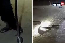 Video: एक ही घर से 24 घंटे में निकला नाग-नागिन का जोड़ा, वीडियो देख उड़ जाएंगे होश