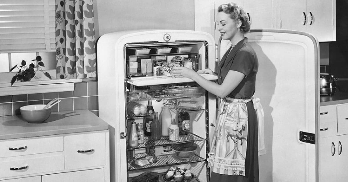 हर घर में होता है रेफ्रिजरेटर, क्या कहते हैं संस्कृत और उर्दू में इसको