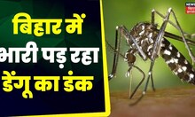 Dengue News : बिहार में थम नहीं रहा डेंगू का कहर | Patna News | Dengue in Bihar | Latest News
