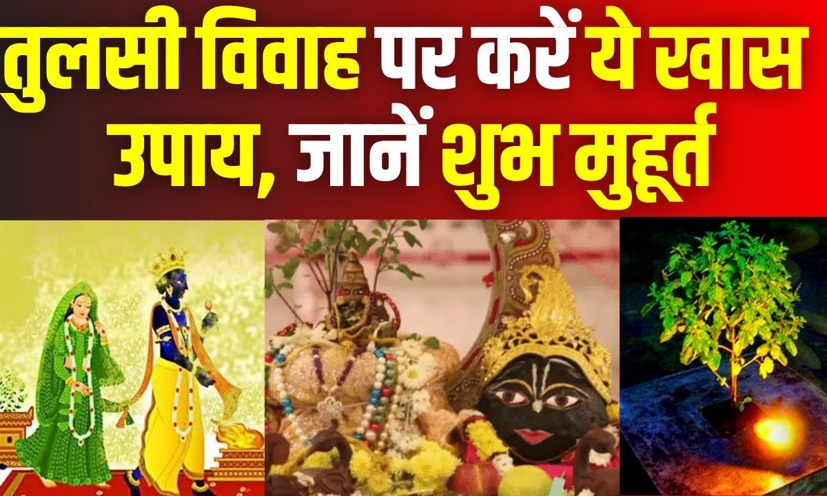 Tulsi Vivah 2023: Tulsi Vivah पर करें ये खास उपाय, इसके बराबर मिलेगा ...