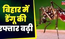 Dengue News : बिहार में डेंगू की रफ्तार बढ़ी | Patna News | Dengue in Bihar | Latest News | Top News