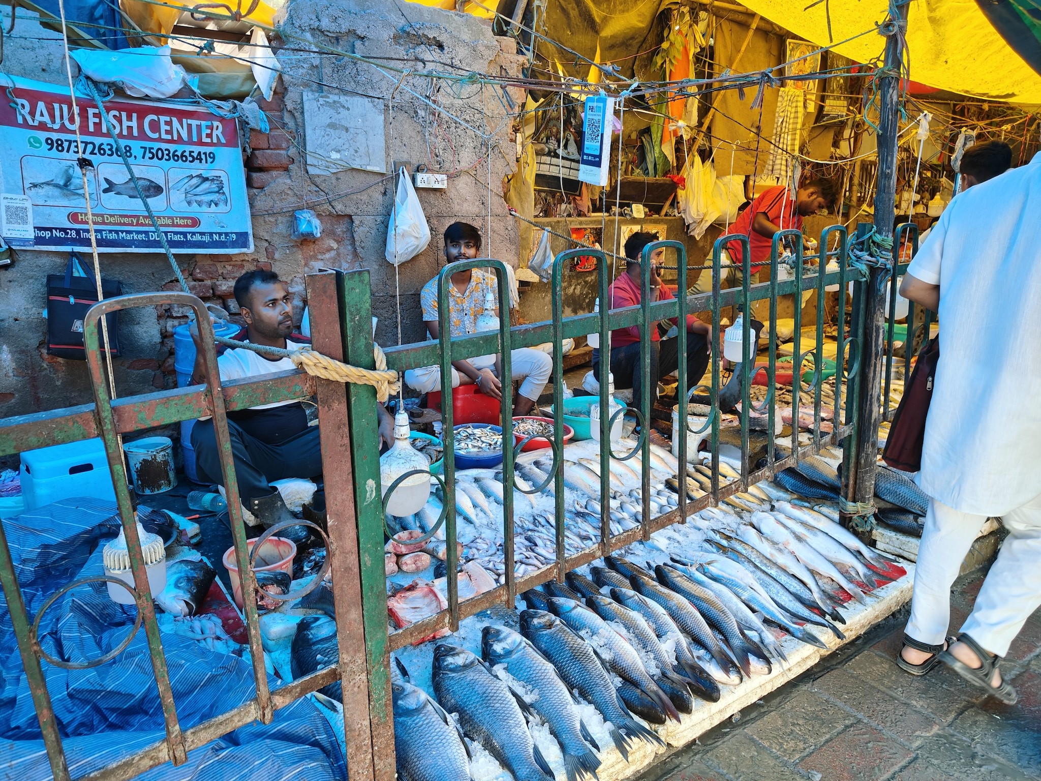 Fish Market दिल्ली का वर्षों पुराना फिश मार्केट, यहां इतने प्रकार की