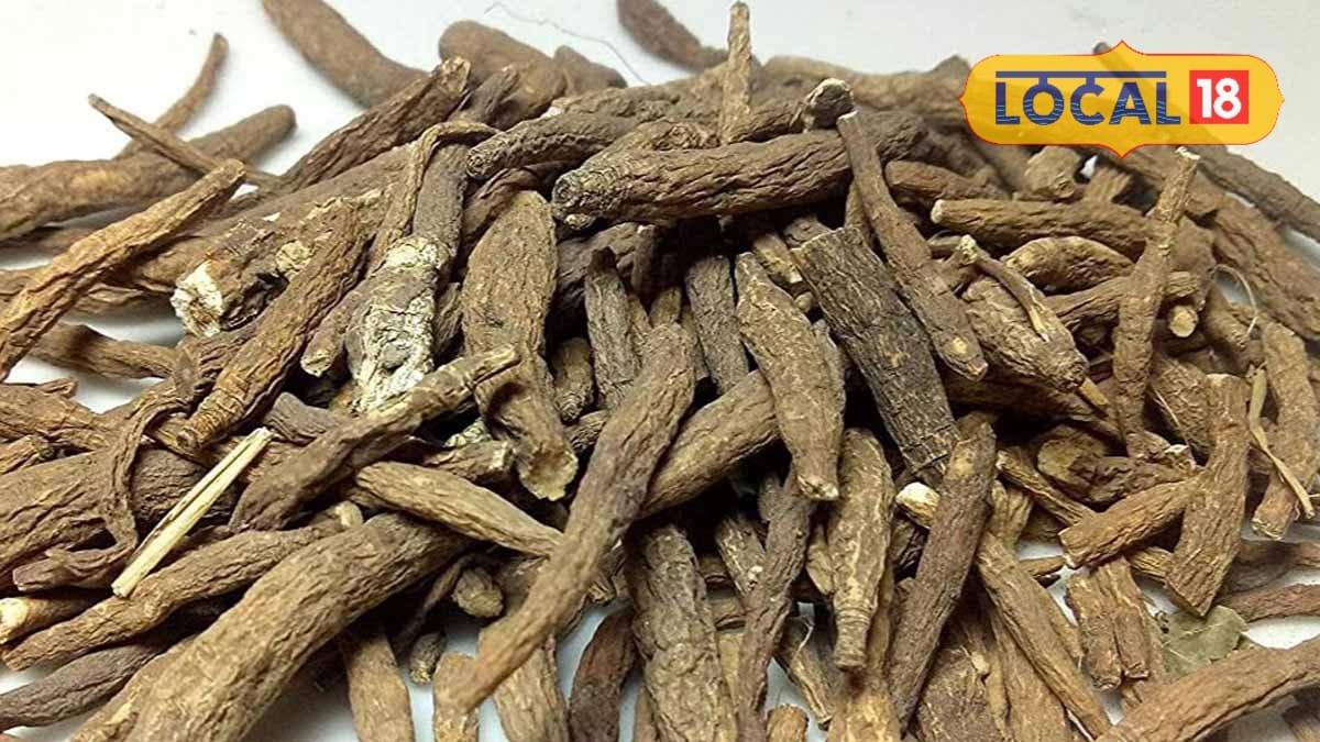 Medicinal Plants: 5 बेहद खास जड़ी-बूटियां, आसपास भी नहीं फटकेंगी बीमारियां