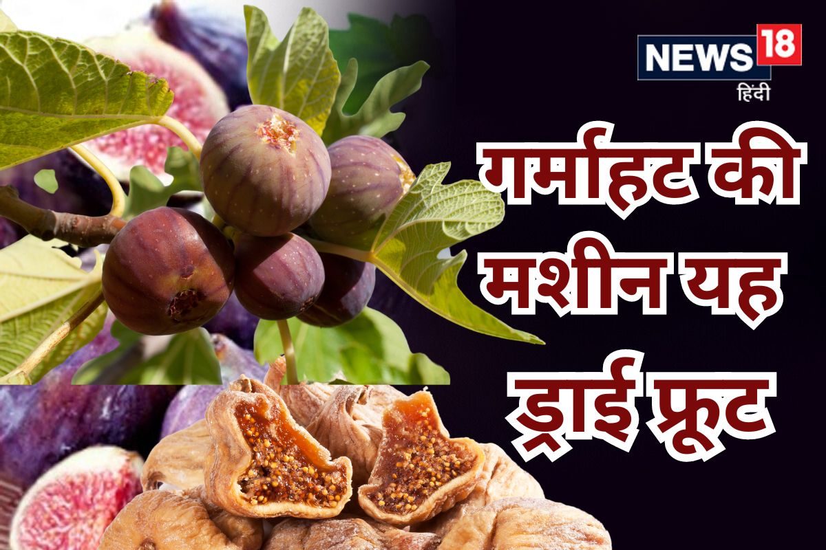 सर्दी में शरीर को गर्माहट की मशीन बना देता है यह खास ड्राई फ्रूट