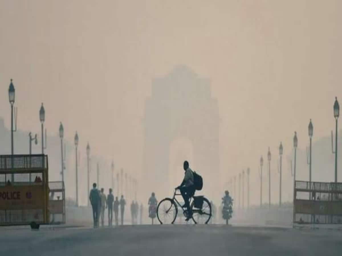 Air Pollution in Delhi, delhi Smog Tower, kikar tree, Delhi air quality Today, Delhi air quality Index Today, Delhi air quality Index Live, Delhi air quality Index Update, Delhi Air Pollution, Delhi Air Real Time, kikar tree, benefits of kikar tree, harming climate tree, Kikar tree, Kikar panacea for many diseases, gopal rai, कीकर के पौधे, विदेशी कीकर, गोपाल राय, हटाए जाएंगे विदेशी कीकर, पर्यावरण, दिल्ली सरकार, भू-जल स्तर, कीकर का पेड़