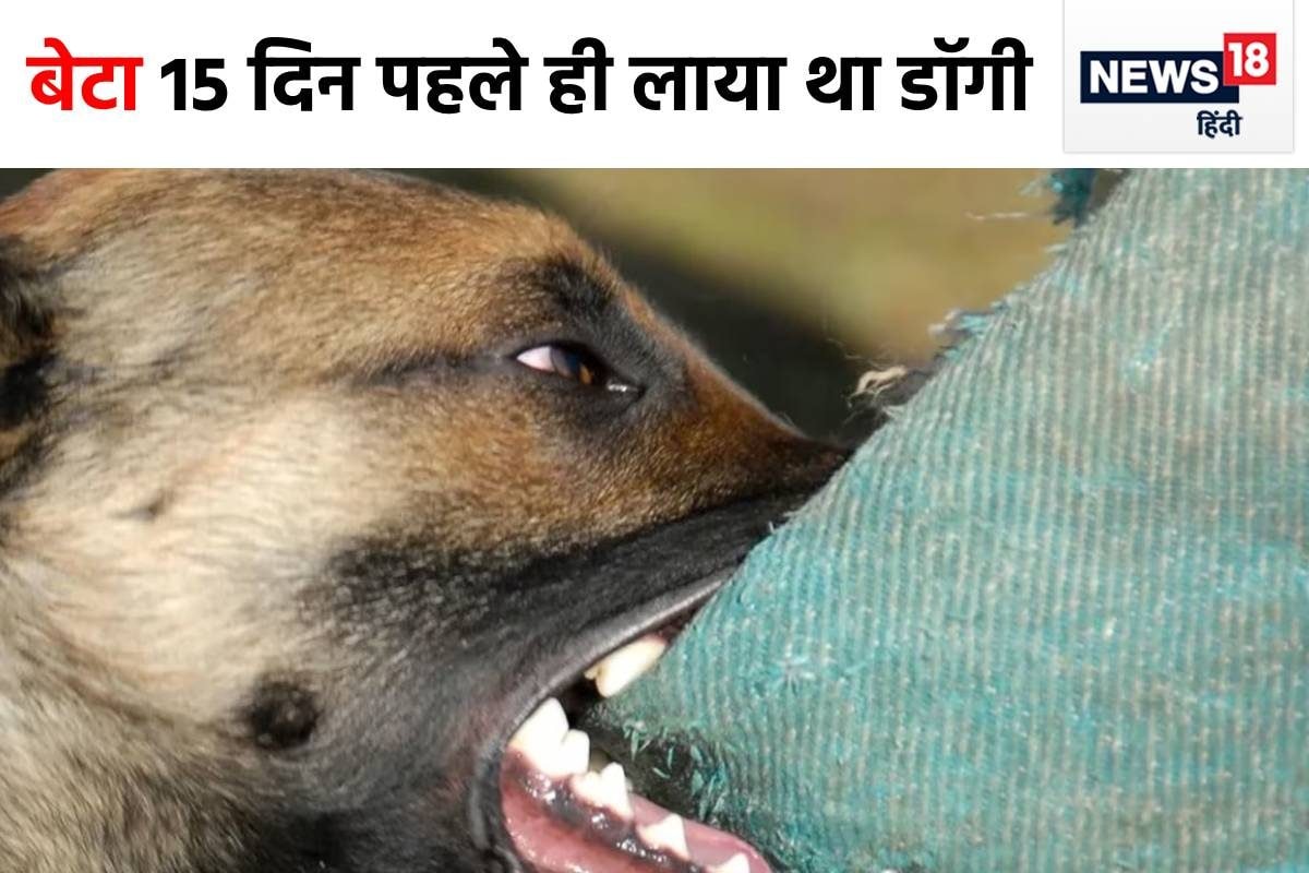 German shepherd hot sale in hindi