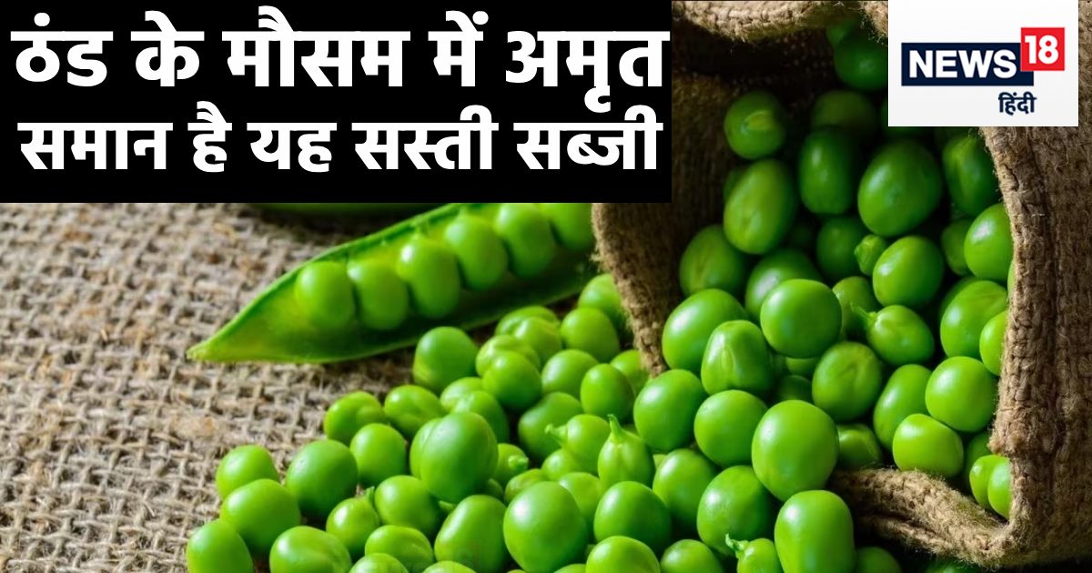 सेहत के लिए बेहद चमत्कारी है यह हरी सब्जी, सर्दियों में खाना सबसे