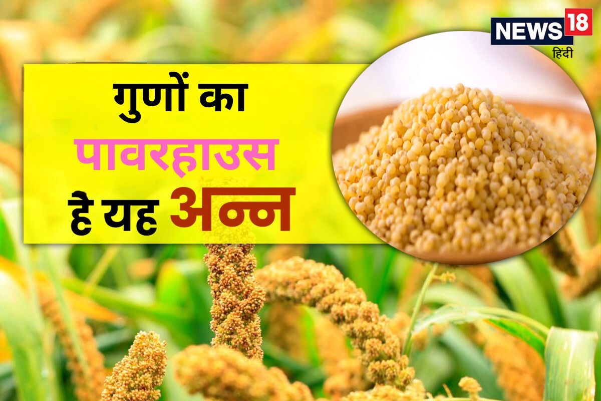 गोल-मटोल दाना जिसे पहले लोग खाना नहीं चाहते थे आज है पोषक तत्वों का पावरहाउस