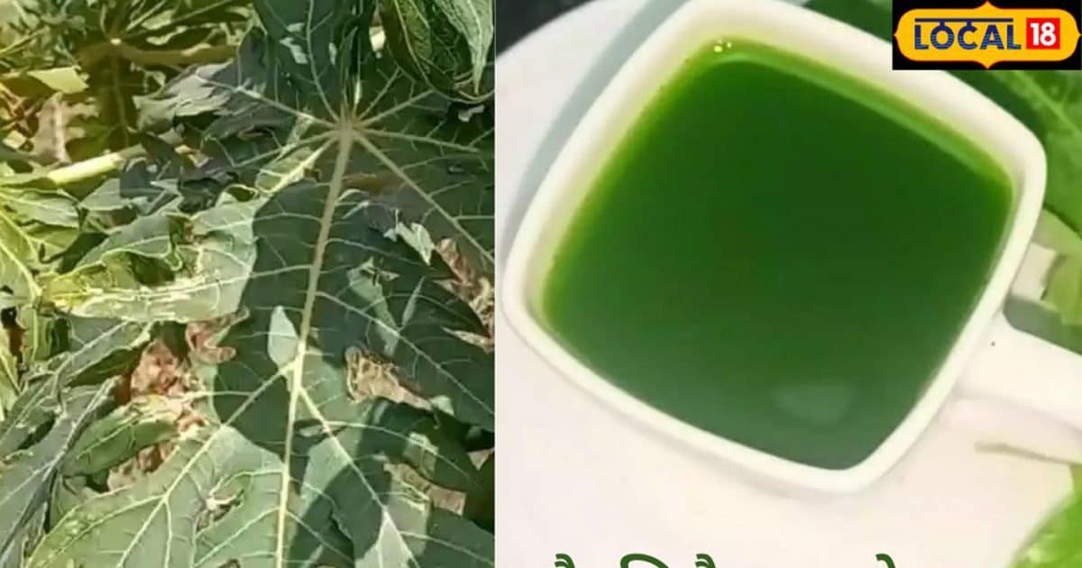 'अमृत' है इस पत्ते का रस, कब्ज से दिलाए मुक्ति, किडनी, लीवर और हार्ट को
