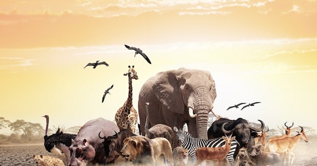 Know how Climate Change is altering animal brains - जानवरों के दिमाग को ...