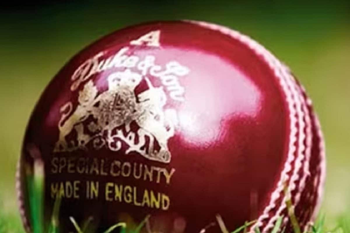 क्रिकेट समेत कई खेलों की गेंदों में क्यों इस्तेमाल होता है गाय का चमड़ा