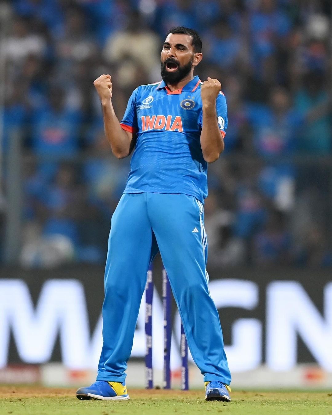 Mohammed Shami Networth: मोहम्मद शमी की नेटवर्थ कितनी? साल में करोड़ की ...