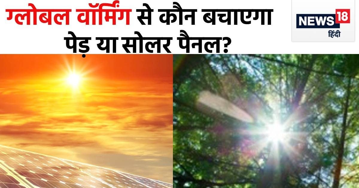 A great way to combat global warming, now we don't have to plant trees