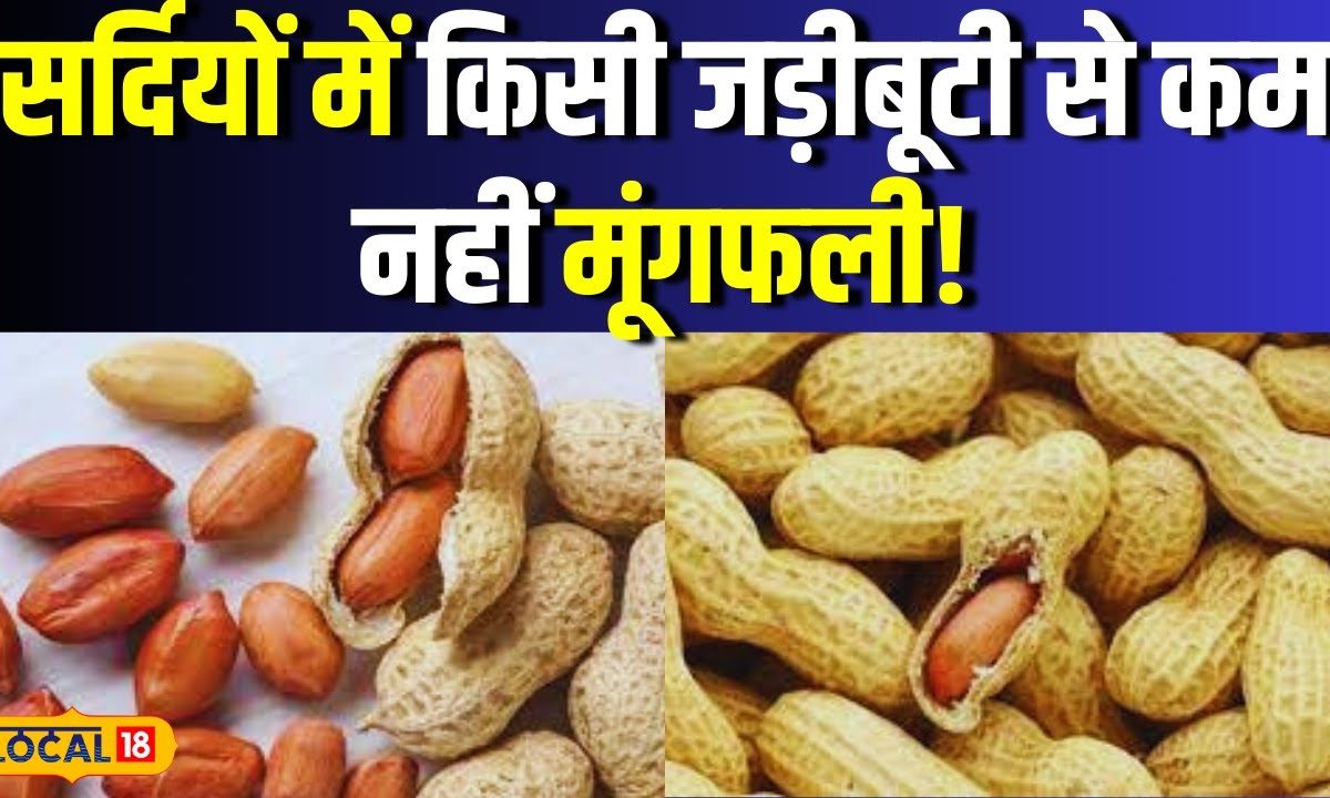 Peanut Benefits: सर्दी में Mungfali खाने से मिलेंगे जबरदस्त फायदे, इन ...