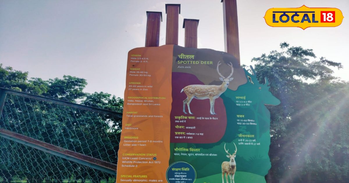 Gorakhpur चिड़ियाघर में आएंगे नए मेहमान, जोड़े में रहेंगे जीव, अकेले