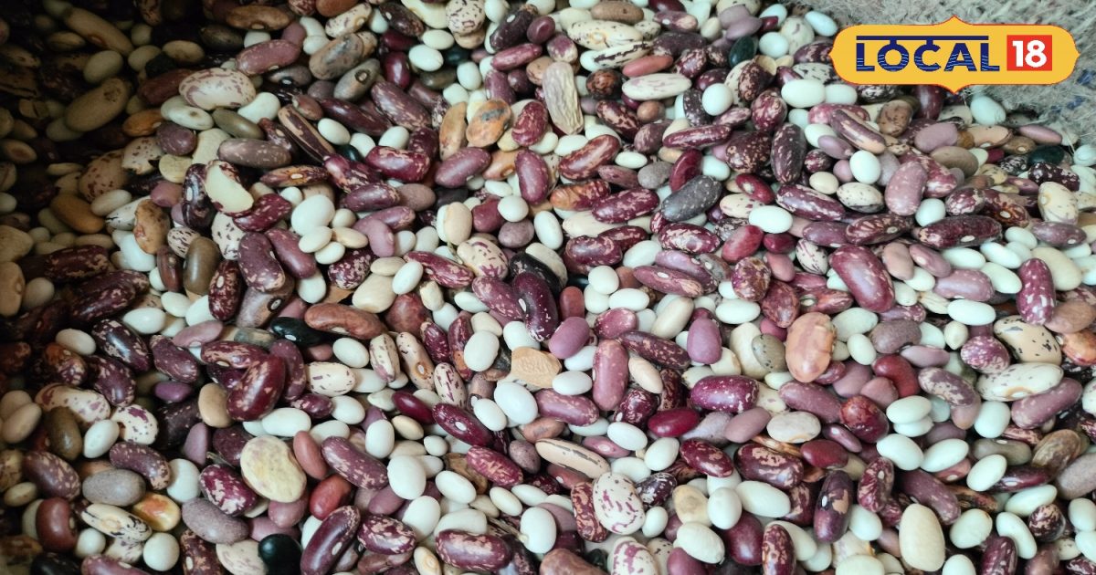 Rajma aka kidney beans benefits and side effects News18 हिंदी