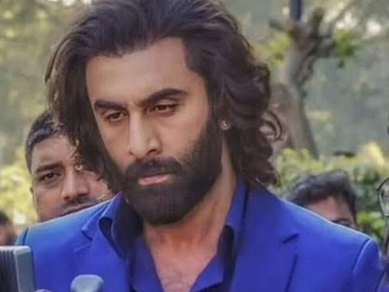 Animal Box Office Collection Day 4