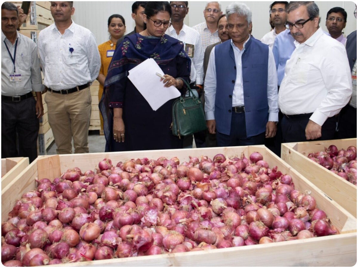 Artificial Intelligence, how can Artificial Intelligence Techniques uses in agriculture, ai onion farmers good news, agriculture sector, modi government, onion price side effects, agriculture news, ai news, Onion farming, Onion Price Falling, nafed, modi government, प्याज, महंगाई, केंद्र सरकार, प्याज सस्ता होगा, प्याज प्रति किलो दाम, एआई, आर्टिफिशियल इंटेलिजेंस, प्याज में सड़ने से बचाएगा ai 