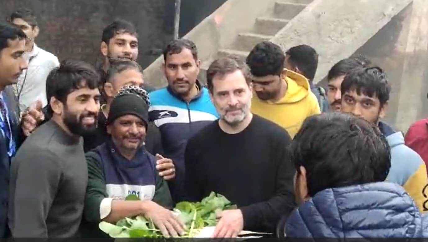 haryana news, Rahul gandhi, WFI