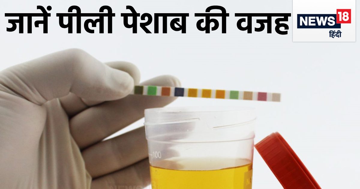 क्या आपको सर्दियों में भी आ रही पीले रंग की पेशाब? 3 गंभीर परेशानियों ...