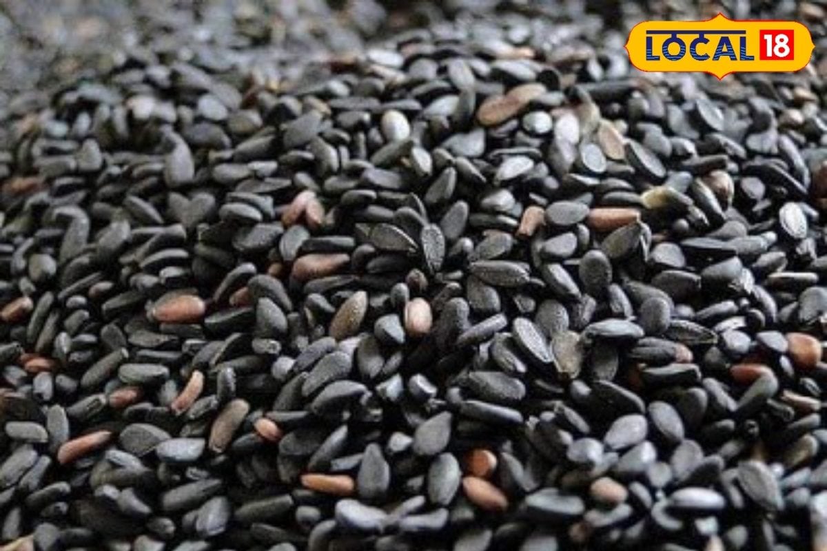 Black Sesame Benefits:सर्दियों में सेहत के लिए खजाना है तिल, फायदे जानकर हो जाएंगे हैरान