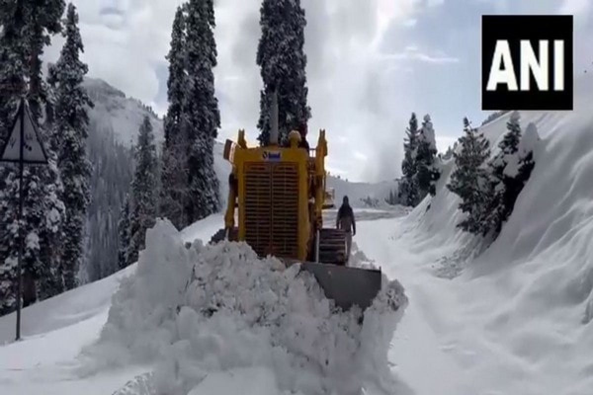 बर्फ की चादर में लिपटी घाटी! डोडा में ताजा बर्फबारी… वीडियो देख होगी सिहरन