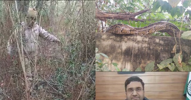 Khareghat Colony Python मेरठ की पॉश कॉलोनी में निकला जिंदा दैत्य, हलक में आई लोगों की जान, घर ...