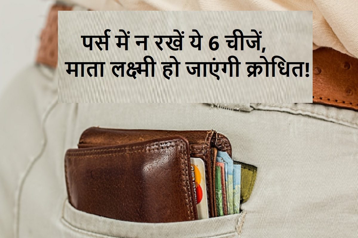never keep these things in purse or wallet Know what should be kept in the  purse vastu shastra money tips - India TV Hindi