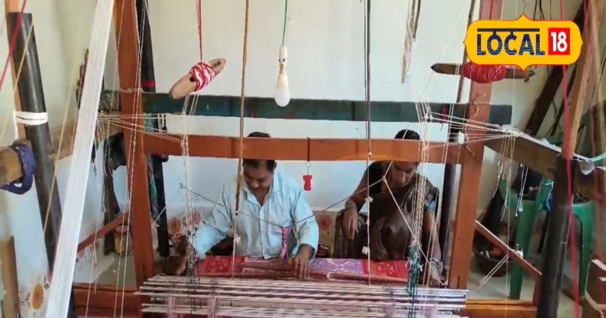 saree-beautiful-artisans-made-hands-can-buy-sambalpuri-saree-chhattisgarh – News18 हिंदी