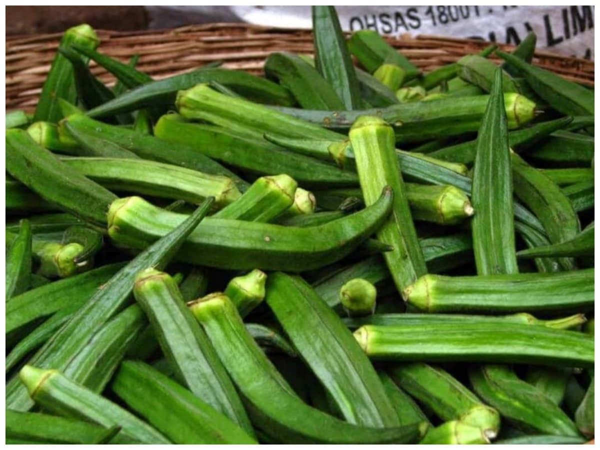 What is national vegetable of Pakistan, Origin of okra, Ladyfinger, benefits of Okra, Heath benefits of Okra, how did okra come to India, History of food, Food, vegetable, Vitamin, Protein, Vitamin C, भिंडी का सफर, पाकिस्‍तान की राष्‍ट्रीय सब्‍जी क्‍या है, भिंडी सबसे पहले कहां पैदा हुई