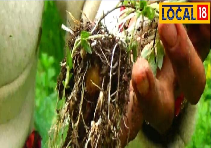 NEWS18