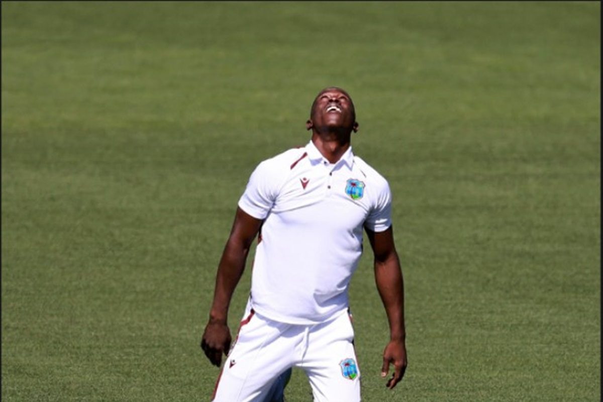 Video: ऑस्ट्रेलिया ने जिसे किया घायल, वही काल बनकर लौटा, लिया जोरदार बदला