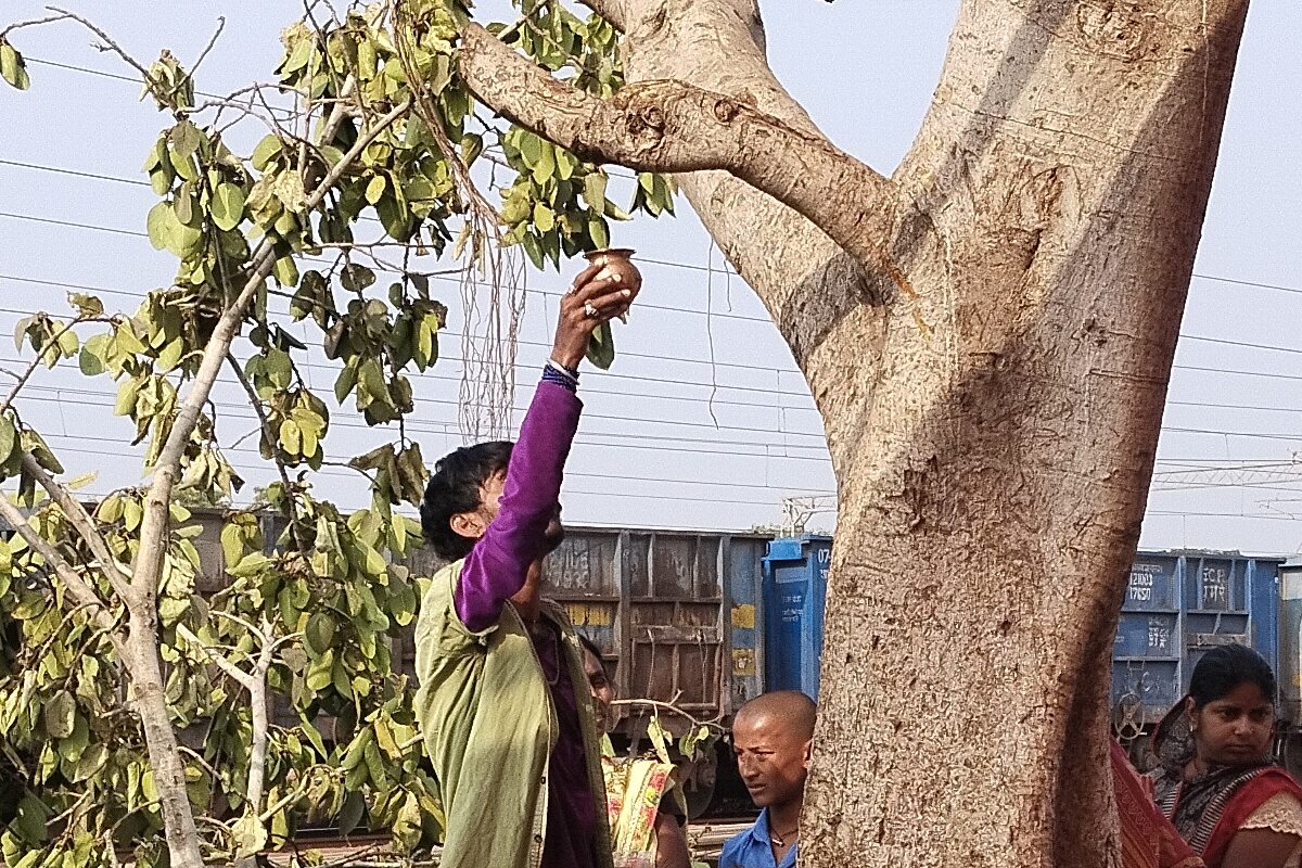 मजदूरों ने काटा बरगद का पेड़, डाल में हुआ 'चमत्कार' लोग घबराए, अब कर रहे पूजा