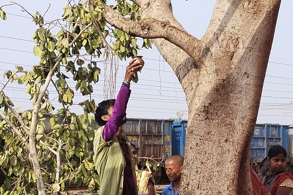 मजदूरों ने काटा बरगद का पेड़, डाल में हुआ 'चमत्कार' लोग घबराए, अब कर रहे पूजा