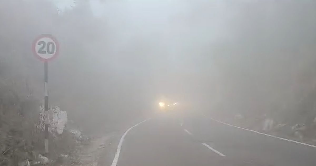 MP Cold Alert: अभी और सताएगी सर्दी, चलेगी शीतलहर, ठंड से कांप रहे दतिया ...