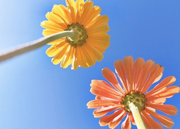 मुझे पढ़ो