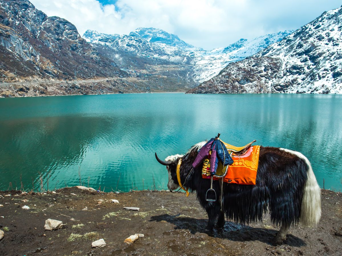 सिक्किम जाएं सर्दियों में