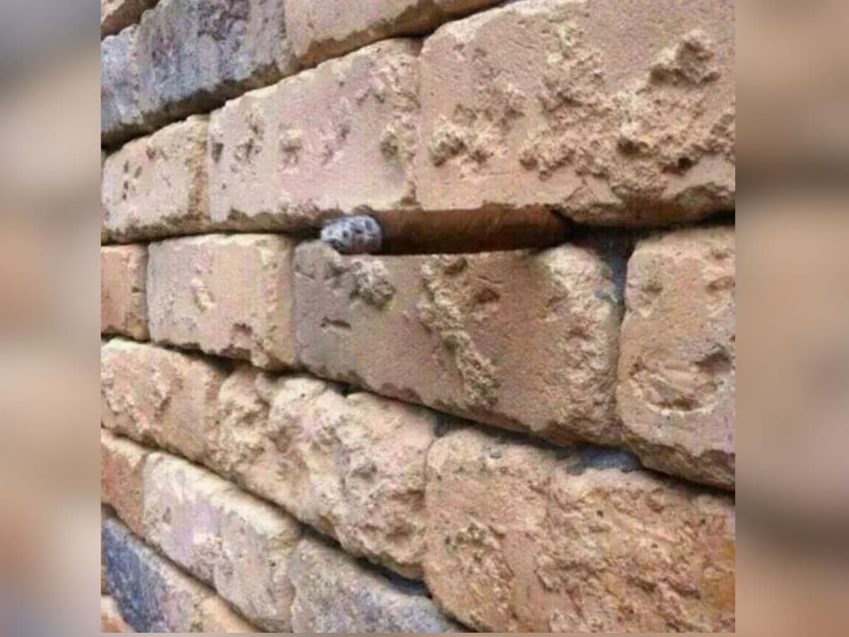 can you spot a cigar, spot a cigar hidden in the wall, can you spot a cigar hidden in the wall, optical illusion puzzle, optical illusion, mind games, brain teaser, mind puzzles, find an object