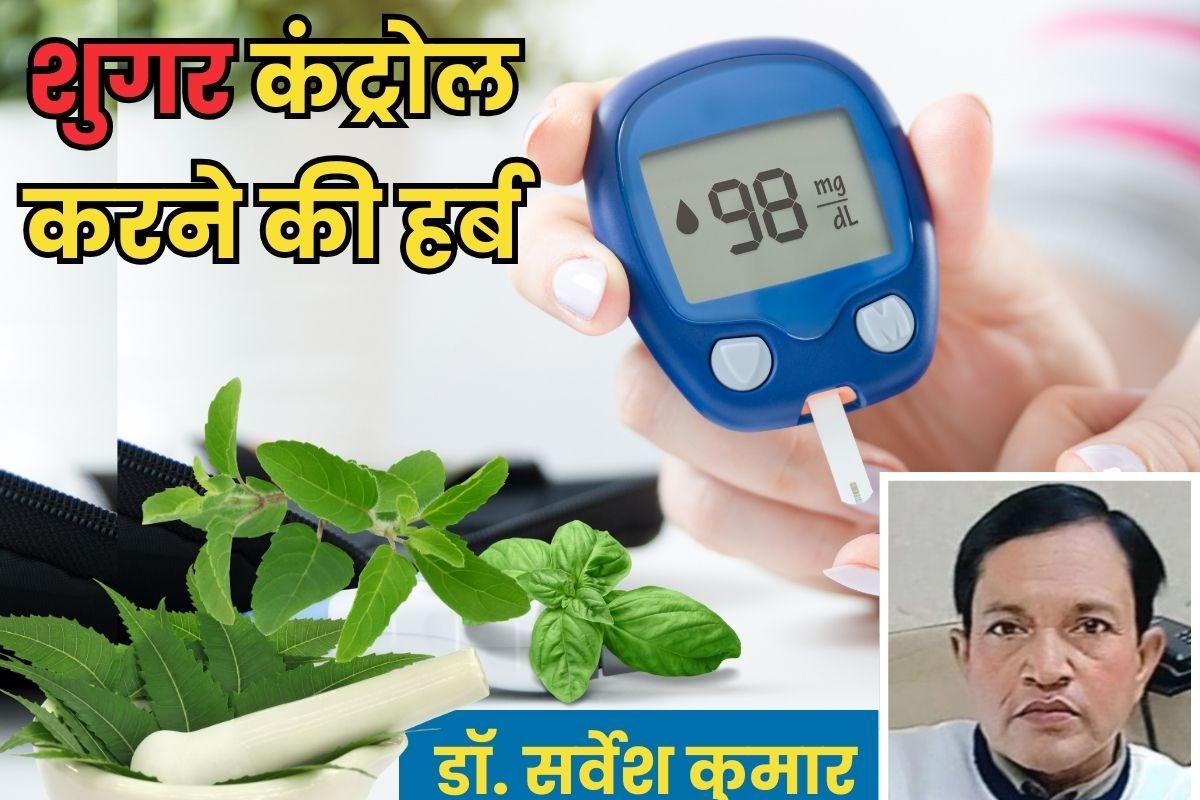 डायबिटीज की दुश्मन हैं ये 5 हरी पत्तियां, इनके सेवन से कंट्रोल में रहेगी शुगर