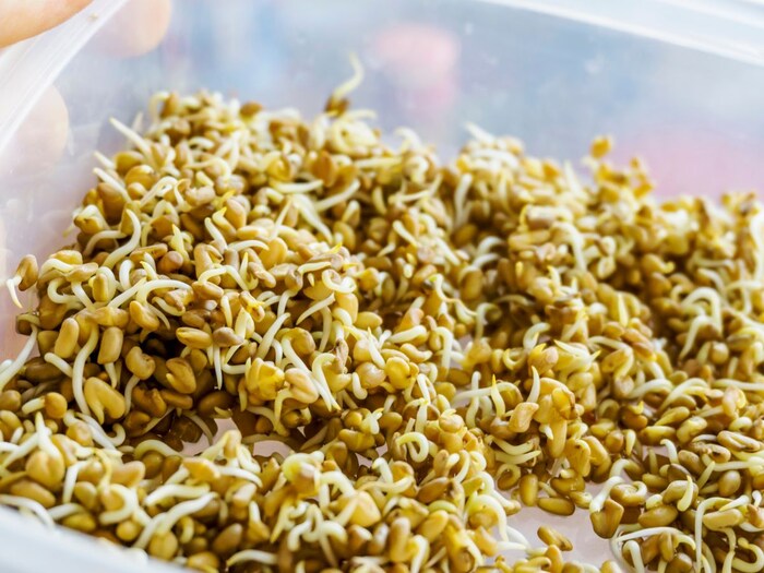 बायोटिन से भरपूर है मेथी दाना, डॉक्टर ने दी सलाह 3 Canva