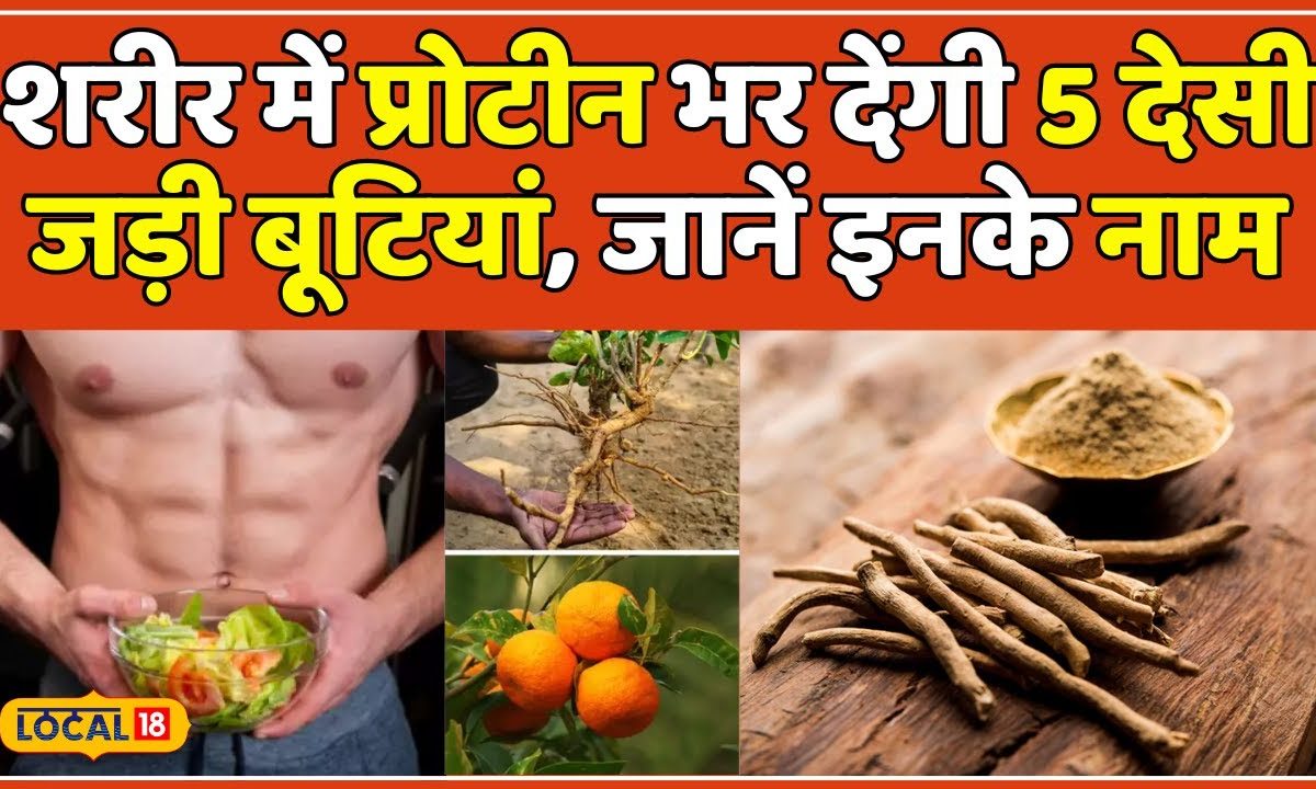 Health Tips शरीर में गजब की ताकत भर देंगी ये 5 जड़ी बूटियां ऐसे करें सेवन Ayurveda