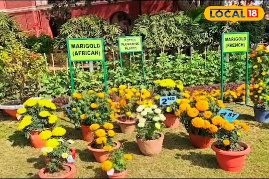 धनबाद के ओवल गार्डन में सजी फूलों की महफिल, फ्लावर शो में दिखी कई