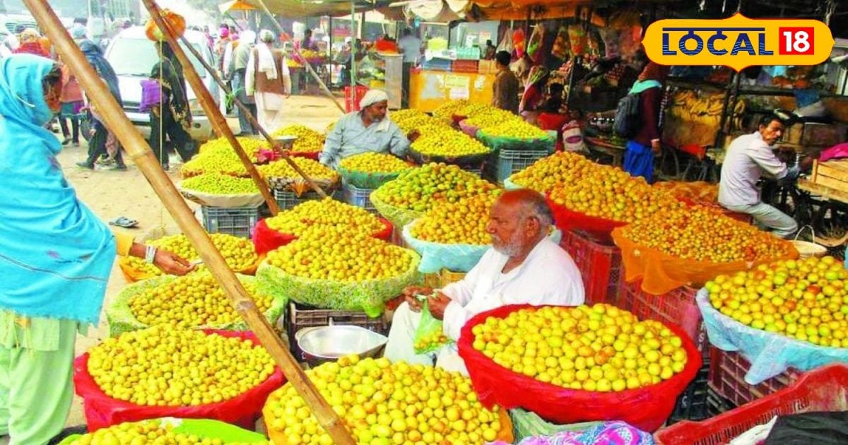 Such a fruit, which yields 410 quintals in one bigha, farmers get good