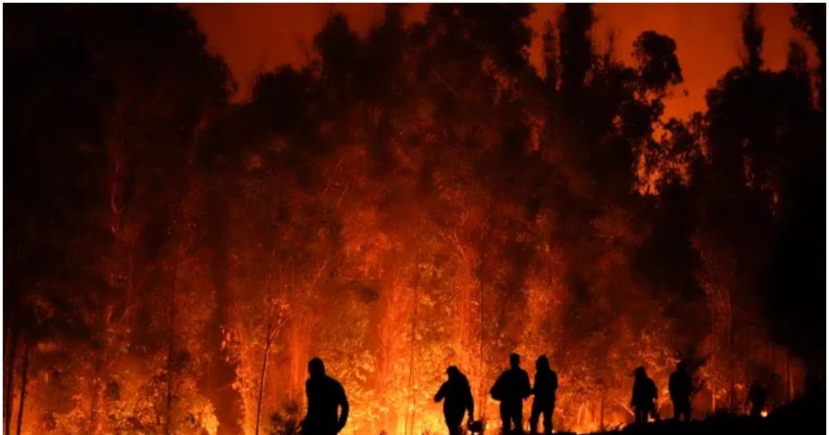 Chile Forest Fire 2024 02 772d32c289e9b7321498568aada2d9d1