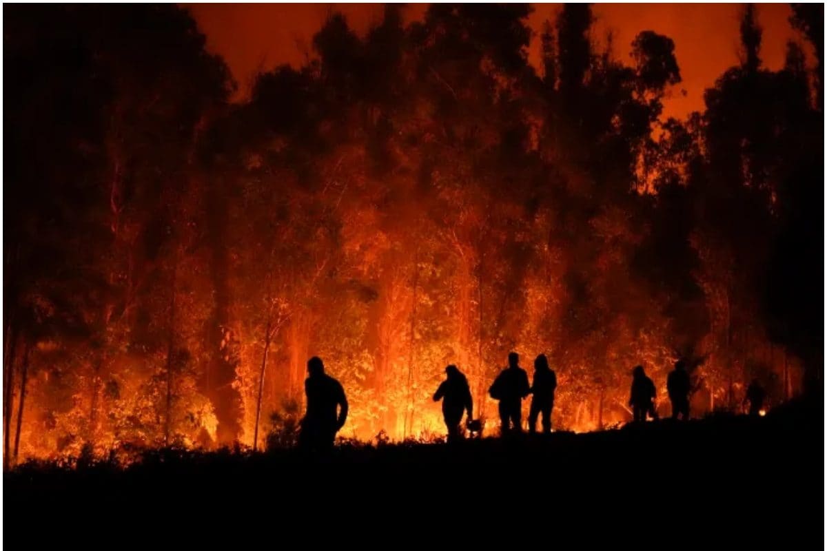 92 जंगल आग की चपेट में, घनी आबादी तक पहुंची लपटें, 99 की मौत, 1600 लोग बेघर